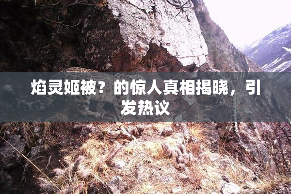 焰灵姬被？的惊人真相揭晓，引发热议