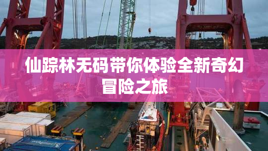 仙踪林无码带你体验全新奇幻冒险之旅