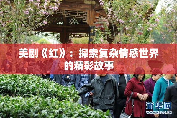 美剧《红》：探索复杂情感世界的精彩故事