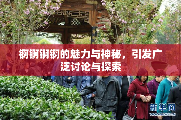 锕锕锕锕的魅力与神秘，引发广泛讨论与探索