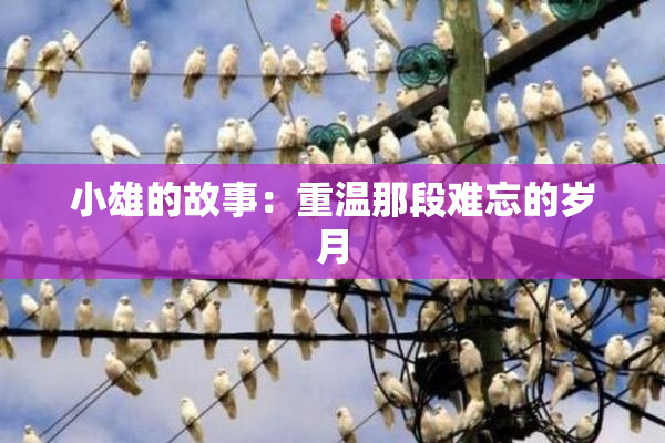 小雄的故事：重温那段难忘的岁月