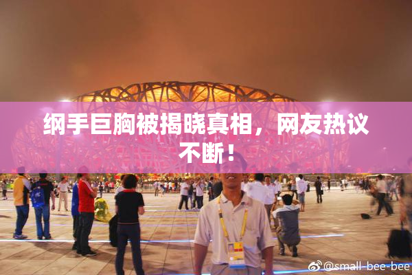 纲手巨胸被揭晓真相，网友热议不断！