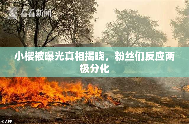 小樱被曝光真相揭晓，粉丝们反应两极分化