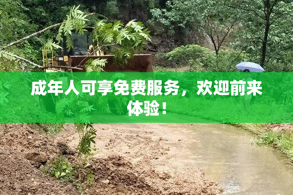 成年人可享免费服务，欢迎前来体验！