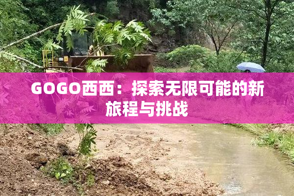 GOGO西西：探索无限可能的新旅程与挑战