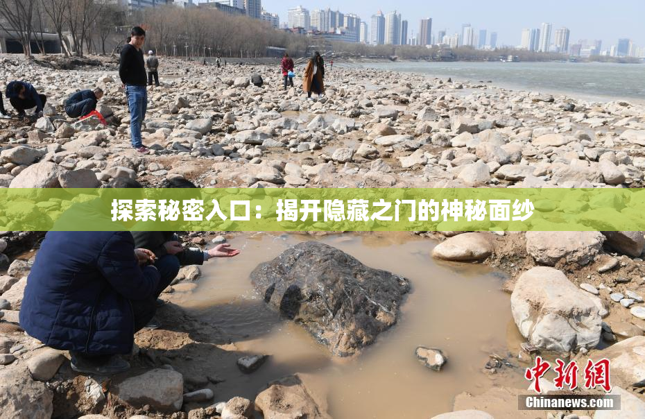 探索秘密入口：揭开隐藏之门的神秘面纱