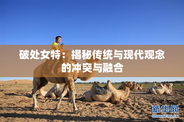 破处女特：揭秘传统与现代观念的冲突与融合