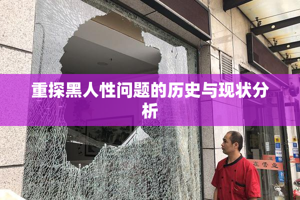 重探黑人性问题的历史与现状分析