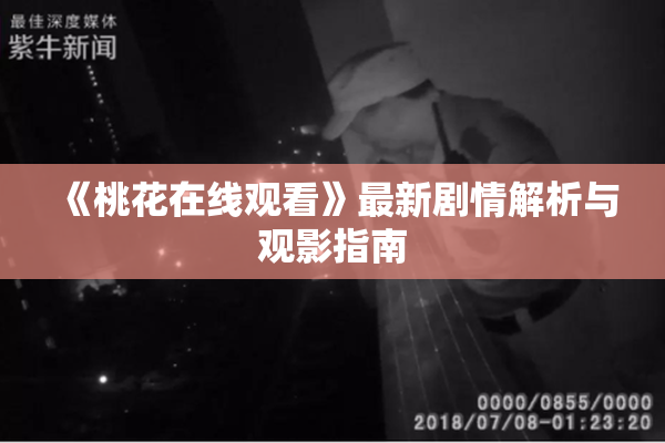 《桃花在线观看》最新剧情解析与观影指南