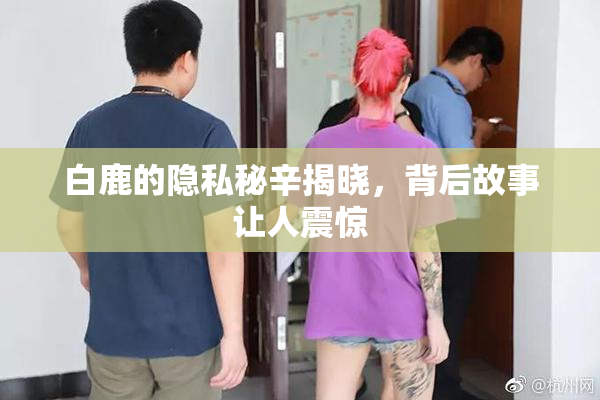 白鹿的隐私秘辛揭晓，背后故事让人震惊