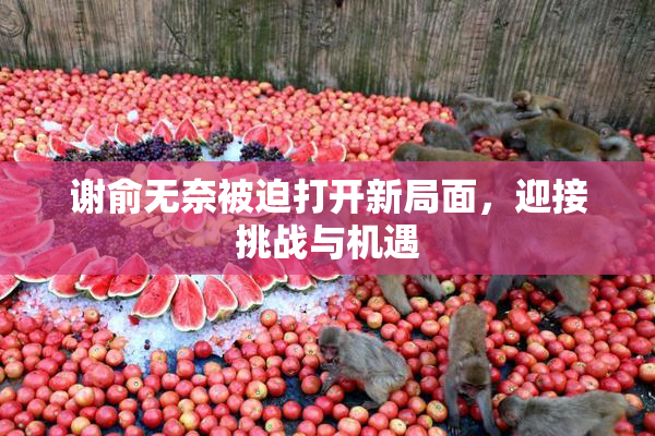 谢俞无奈被迫打开新局面，迎接挑战与机遇