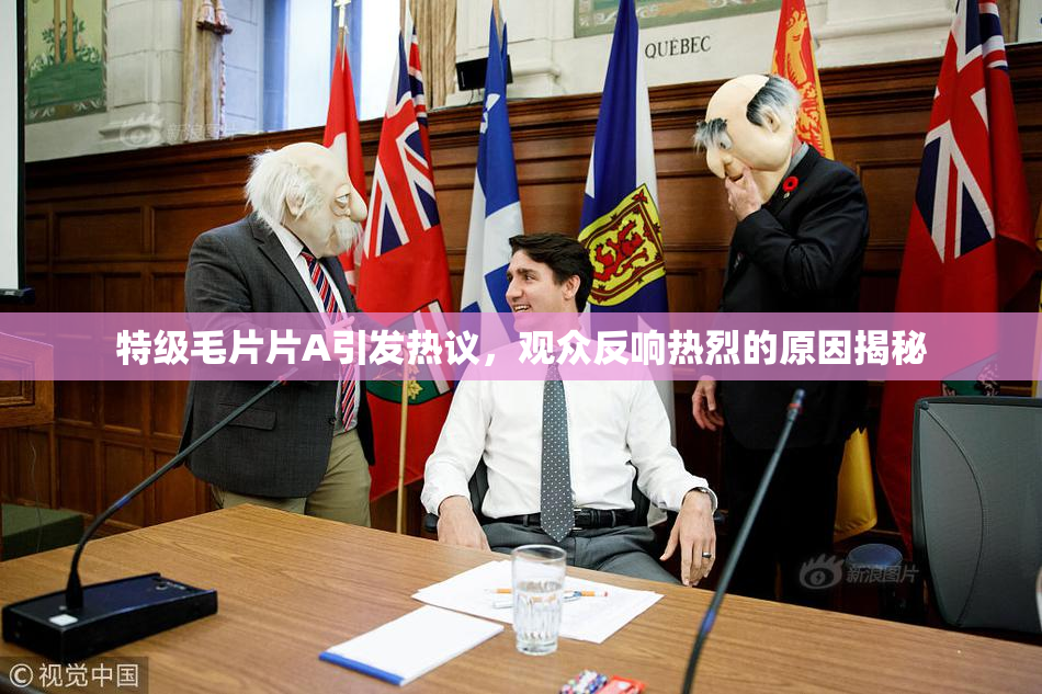 特级毛片片A引发热议，观众反响热烈的原因揭秘