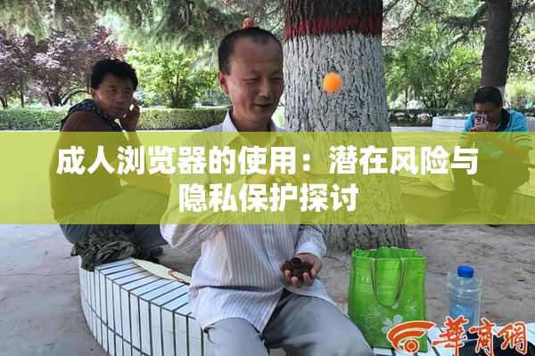 成人浏览器的使用：潜在风险与隐私保护探讨