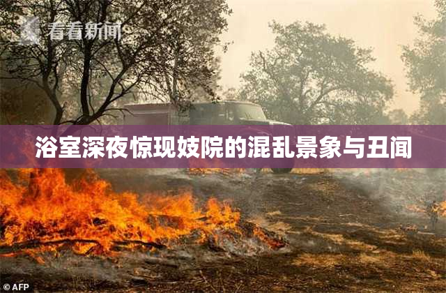 浴室深夜惊现妓院的混乱景象与丑闻