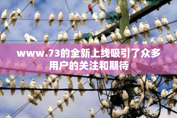 www.73的全新上线吸引了众多用户的关注和期待