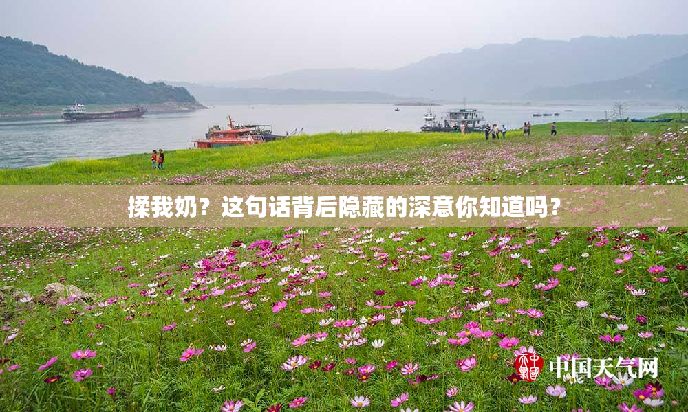 揉我奶？这句话背后隐藏的深意你知道吗？