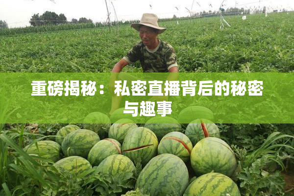 重磅揭秘：私密直播背后的秘密与趣事