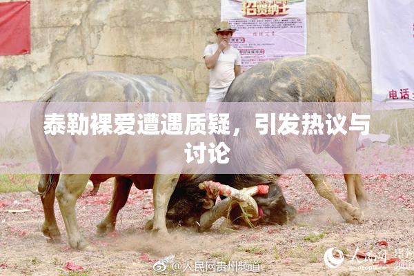 泰勒裸爱遭遇质疑，引发热议与讨论