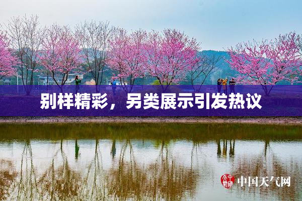 别样精彩，另类展示引发热议