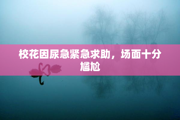 校花因尿急紧急求助，场面十分尴尬