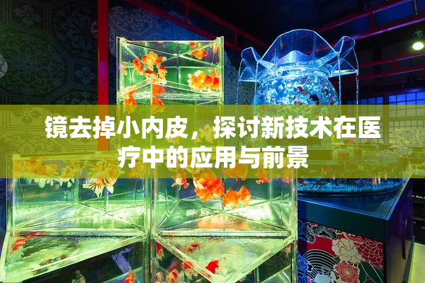 镜去掉小内皮，探讨新技术在医疗中的应用与前景