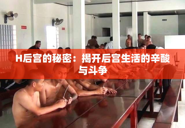 H后宫的秘密：揭开后宫生活的辛酸与斗争