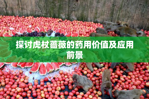探讨虎杖蔷薇的药用价值及应用前景
