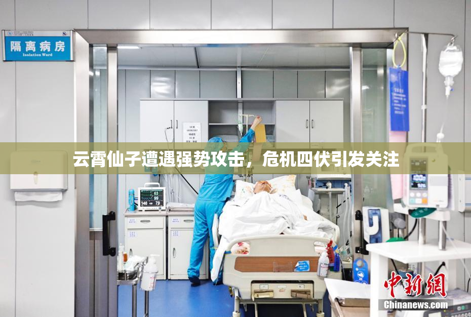 云霄仙子遭遇强势攻击，危机四伏引发关注