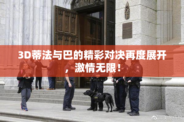 3D蒂法与巴的精彩对决再度展开，激情无限！