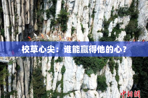 校草心尖：谁能赢得他的心？