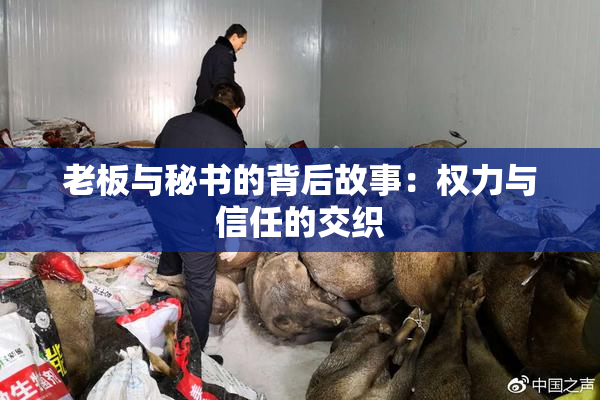 老板与秘书的背后故事：权力与信任的交织