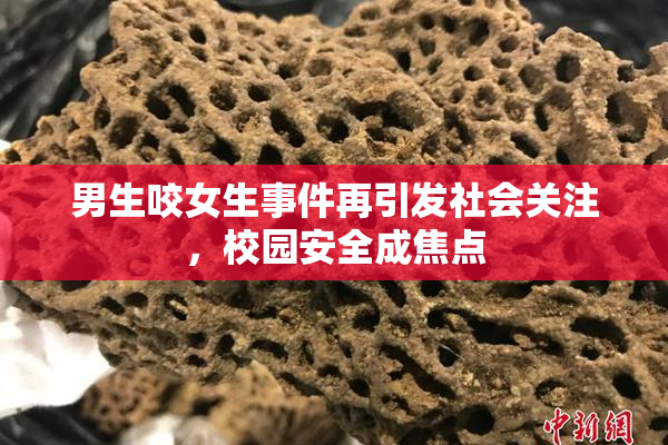 男生咬女生事件再引发社会关注，校园安全成焦点