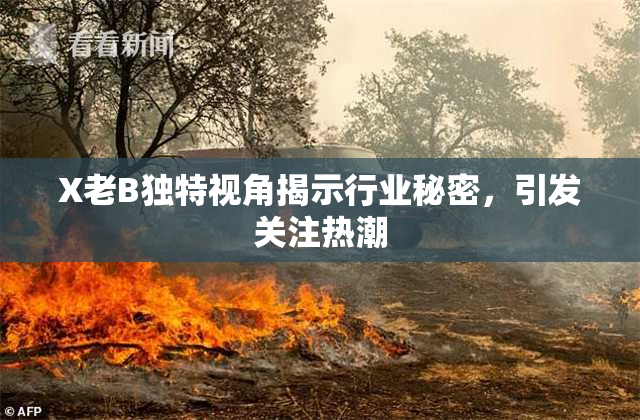 X老B独特视角揭示行业秘密，引发关注热潮