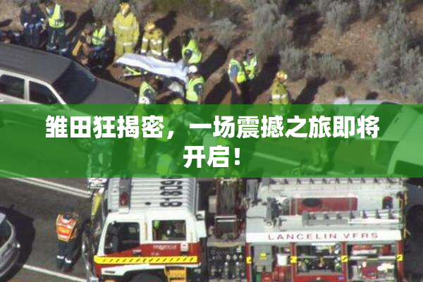 雏田狂揭密，一场震撼之旅即将开启！