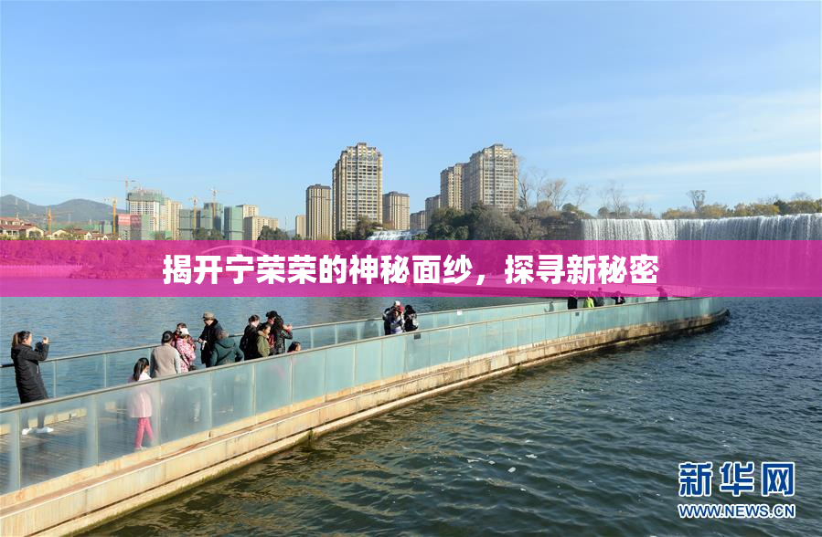 揭开宁荣荣的神秘面纱，探寻新秘密