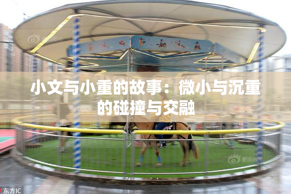 小文与小重的故事：微小与沉重的碰撞与交融