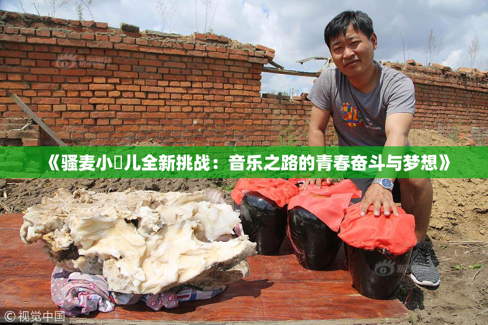 《骚麦小苮儿全新挑战：音乐之路的青春奋斗与梦想》