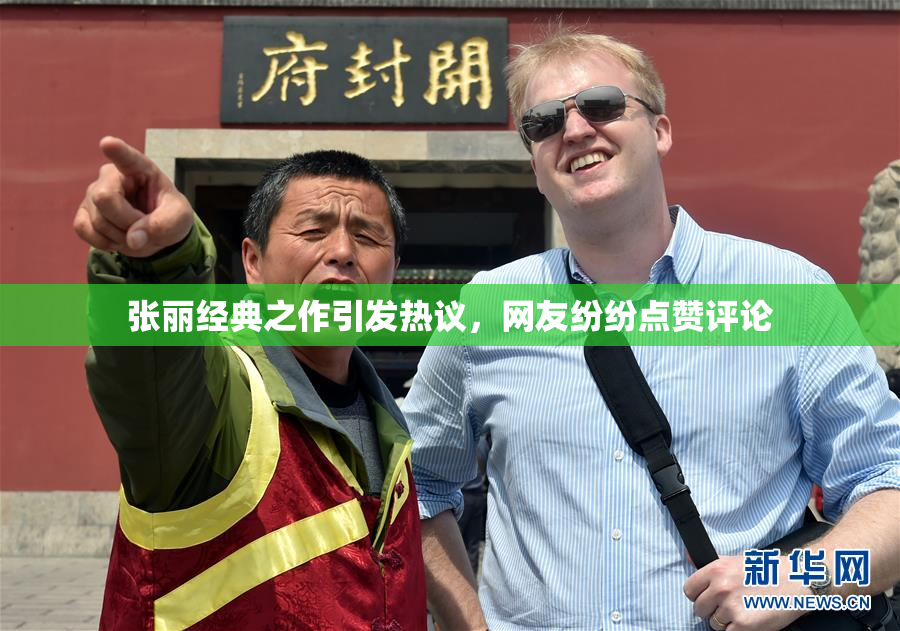 张丽经典之作引发热议，网友纷纷点赞评论