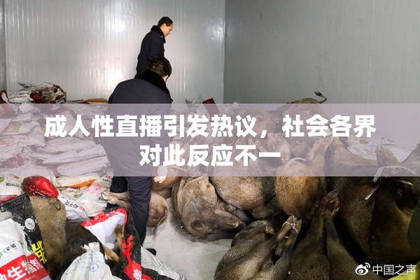 成人性直播引发热议，社会各界对此反应不一