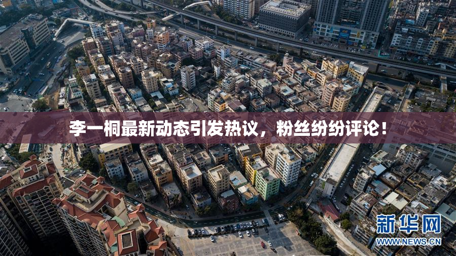 李一桐最新动态引发热议，粉丝纷纷评论！