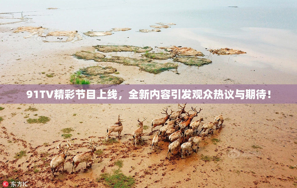 91TV精彩节目上线，全新内容引发观众热议与期待！
