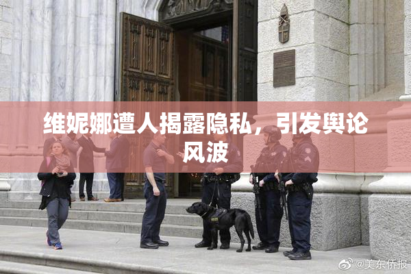 维妮娜遭人揭露隐私，引发舆论风波