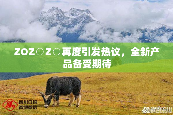 ZOZ○Z○再度引发热议，全新产品备受期待