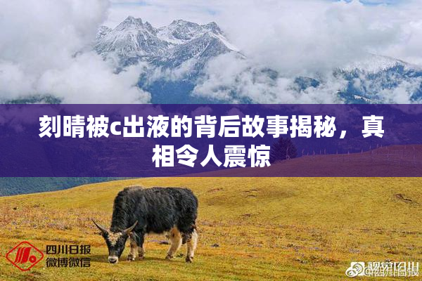 刻晴被c出液的背后故事揭秘，真相令人震惊