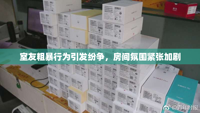室友粗暴行为引发纷争，房间氛围紧张加剧