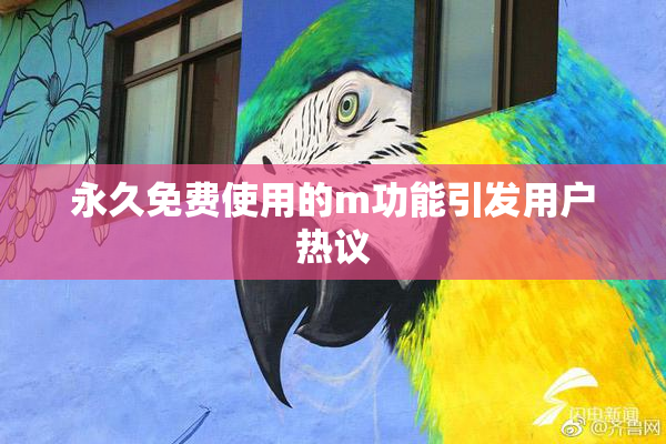 永久免费使用的m功能引发用户热议