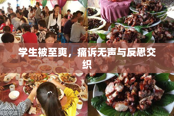 学生被至爽，痛诉无声与反思交织