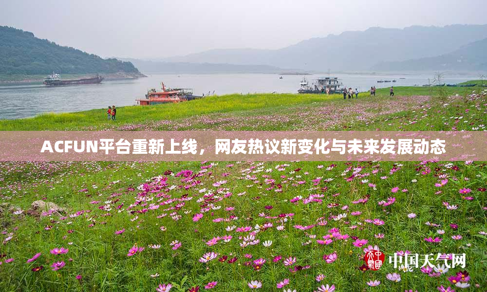 ACFUN平台重新上线，网友热议新变化与未来发展动态
