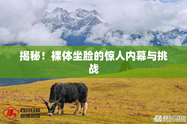 揭秘！裸体坐脸的惊人内幕与挑战
