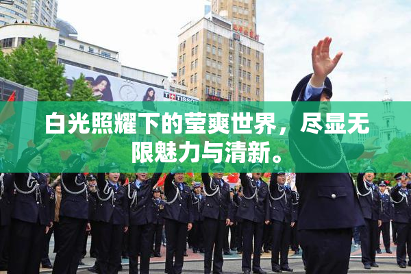 白光照耀下的莹爽世界，尽显无限魅力与清新。